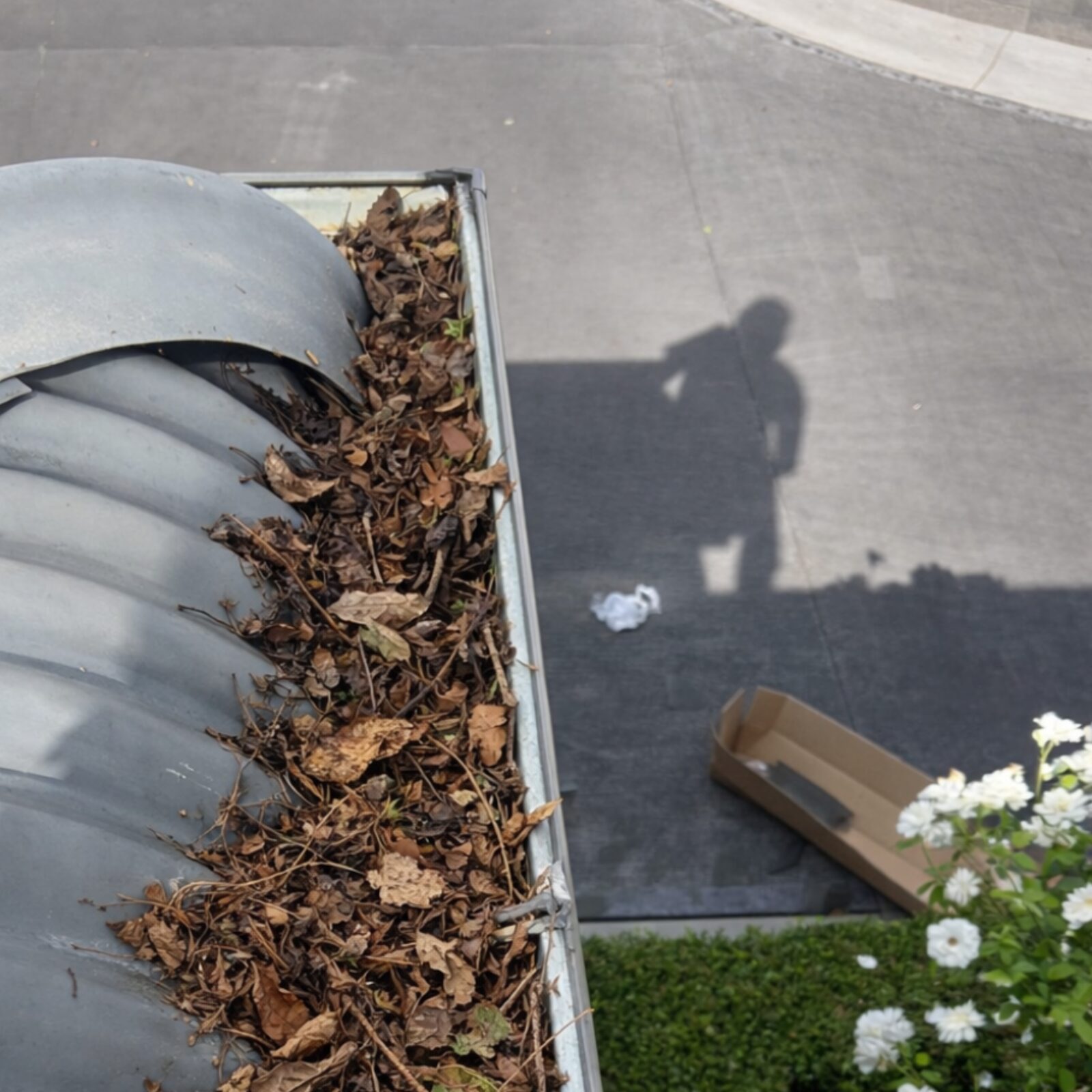 Curved Colorbond roof with gutter packed full of dry leaves before gutter guard installation, Cecil Park