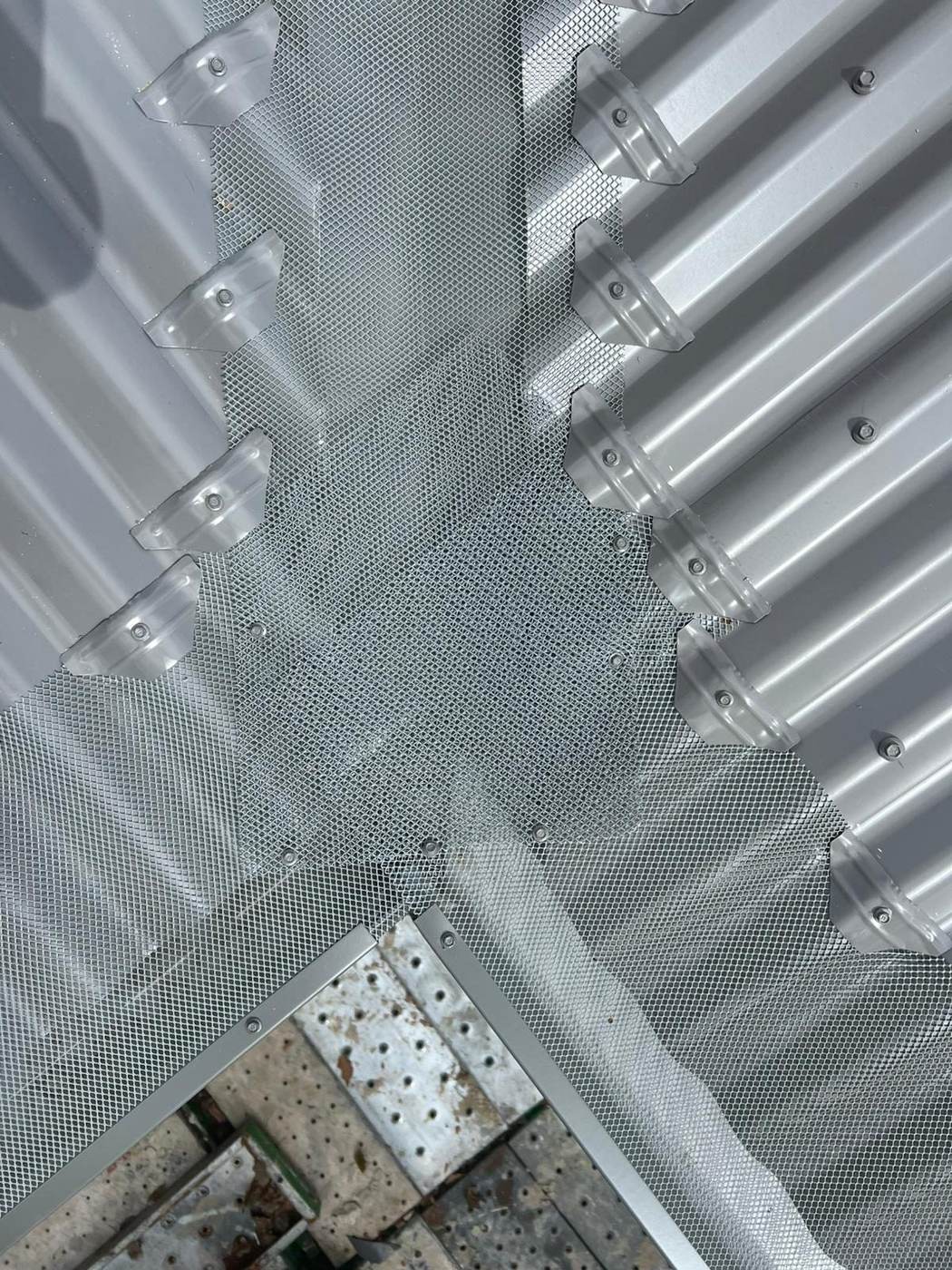 Gutter guard mesh installed along a corrugated metal roof edge