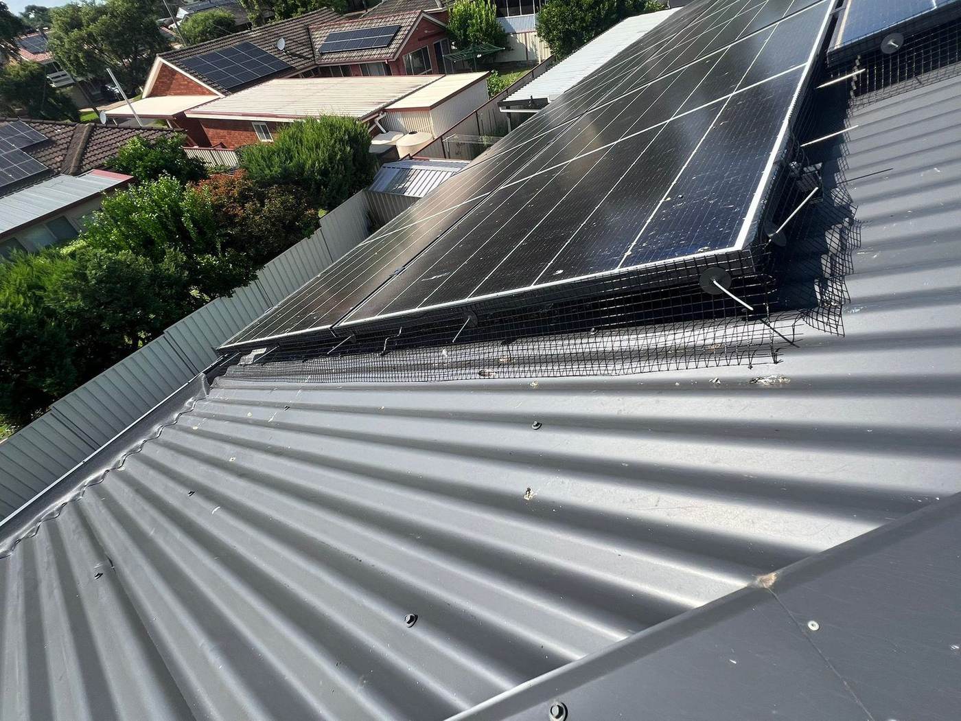 Gutter and solar panel mesh installed on a metal roof