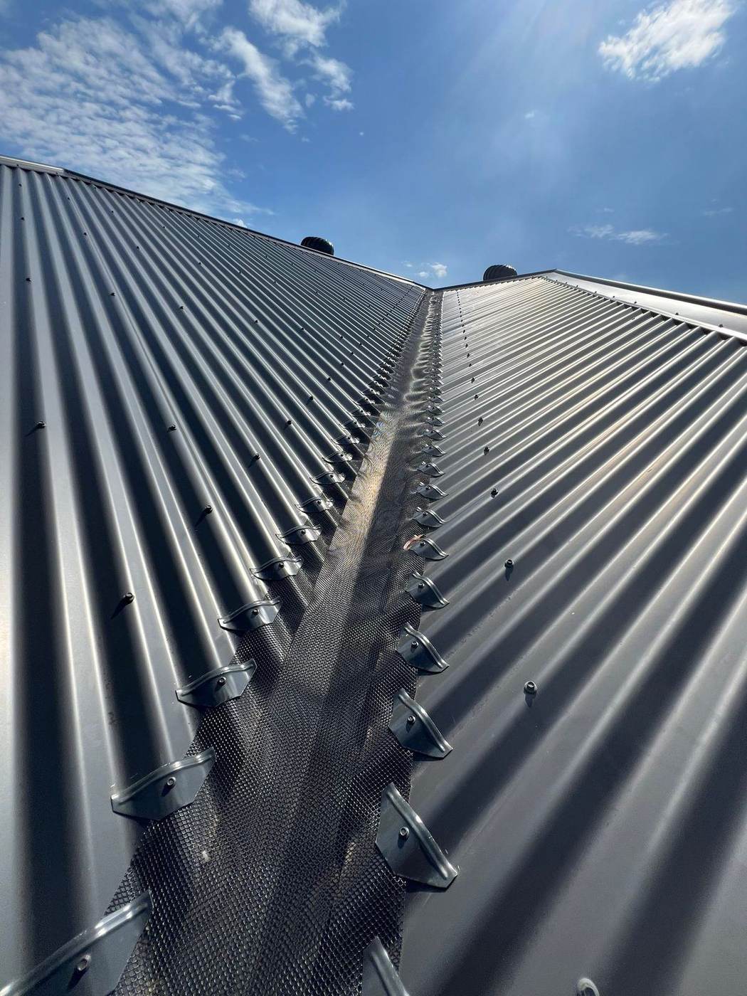 Gutter guard mesh along a metal roof edge