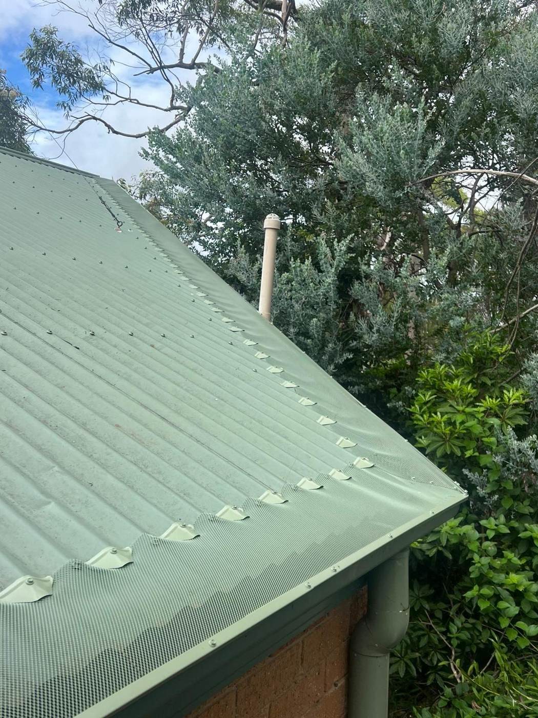 Colorbond colour-matched gutter mesh on a metal roof