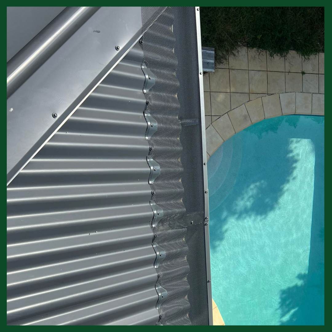 Colorbond roof and gutter mesh above a backyard pool, South Penrith