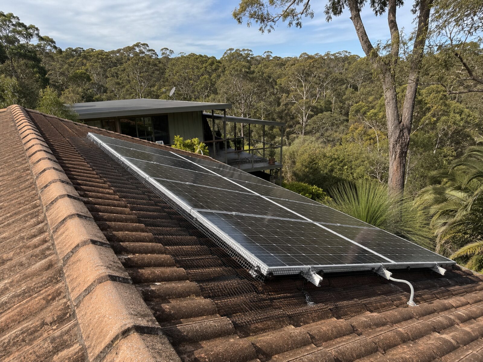 Solar array with bird proofing mesh on a Sydney home overlooking bushland